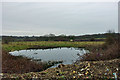 Pond and horse