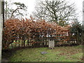 A quiet corner of the churchyard at Wiggonholt Church