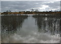 Flooded Gravel Pit, Caesar