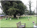 Churchyard at St Mary, Pulborough (1)