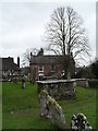 Churchyard at St Mary, Pulborough (4)