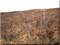 NH3115 : Fence posts crossing moorland towards Beinn Bhreac by Sarah McGuire