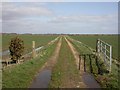 Milford on Sea, farm track