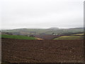 Ploughed field near Norton