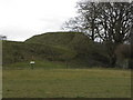 Duneight motte and bailey