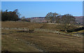 Horsley Burn