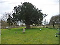 Stoke Charity - Churchyard