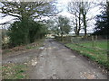 Path Junction on Woodlands Common