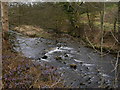 Pendle Water