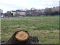 Field at Hornhatch Farm