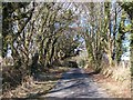 The Criccieth road south of Betws Bach