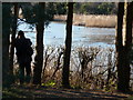 Poole : Hatch Pond Bird Spotting