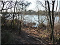 Poole : Hatch Pond Local Nature Reserve