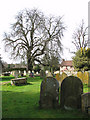 The church of St Andrew in Scole - churchyard