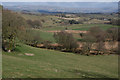 Fields near Bontnewydd