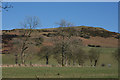 Fields by the Afon Beidog