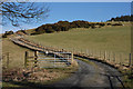 Track to Pwlldrainllwyn farm