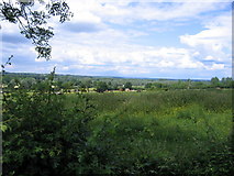 SU5965 : View north from Aldermaston church gate by Melvin Mayes