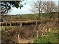 Fields north of Nether Stowey