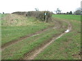 Byway and footpath junction near Smeed Farm