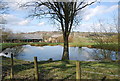 Pond, New Pattenden Farm