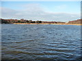 Poole : Hatch Pond Local Nature Reserve