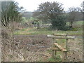 Stiles on a byway near St Mary