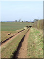 SO7991 : Farm track and bridleway towards Beobridge, Shropshire by Roger  D Kidd