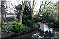 Beddington:  River Wandle