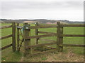 Kissing Gate on Brabourne Lane