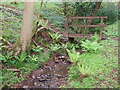 Foot bridge in Llewelyn