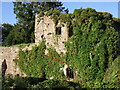 Usk Castle