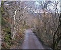 The Bedw Argoed track at Faenol Quarry