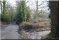 Footpath off Riseden Lane