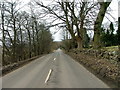 The Blairgowrie to Dunkeld road at Laighwood