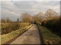 Back Lane, Butleigh Wootton