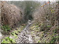 Muddy bridleway climb to Blackcap