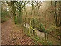 Path and stream, Porsham Wood