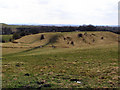 Looking South from Cripple Gate Lane