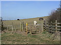 Stile on footpath from Little Moor Lane