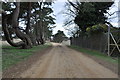 TL8594 : Stanford - road to All Saints church by Nick Mutton 01329 000000