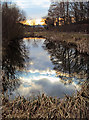 Sunset over the Nottingham Canal