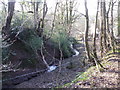 Stream, Old Hill, Christchurch