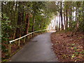 Bournemouth: path to upper part of Meyrick Park