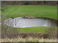 Ornamental Pond on Golf Course