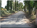 Driveway to Petty Pool centre