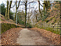 Path from Heathlands to Hilton Lane