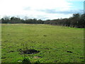 Farmland west of Priory Road