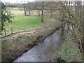 SJ8429 : River Sow downstream near Hilcote Hall by John M