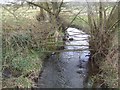 SJ8129 : River Sow upstream near 'The Hough' by John M